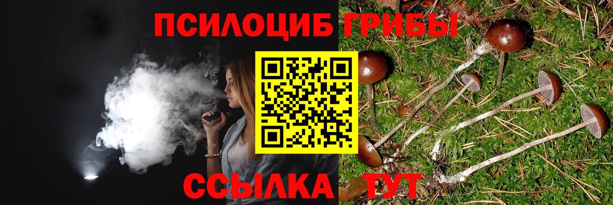 Псилоцибиновые грибы Psilocybine cubensis  Вход с VPN  Галлюциногенные грибы мухоморы  Тара 